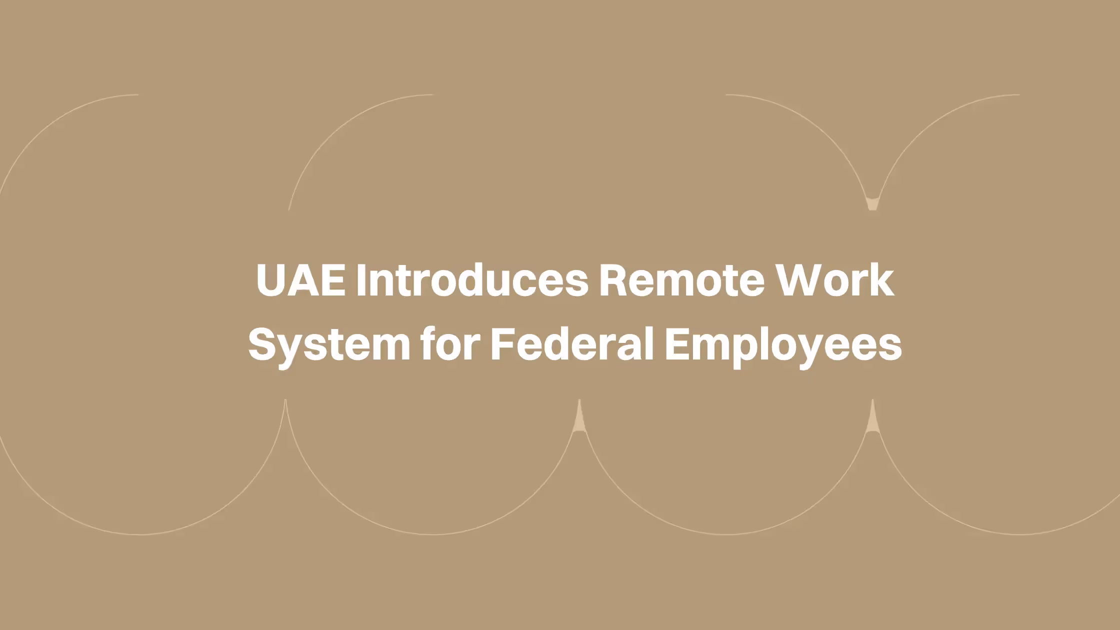 UAE Introduces Remote Work System for Federal Employees