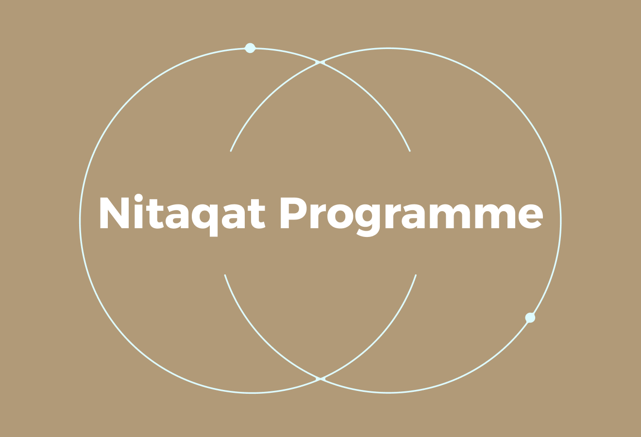 What is the Nitaqat Programme?