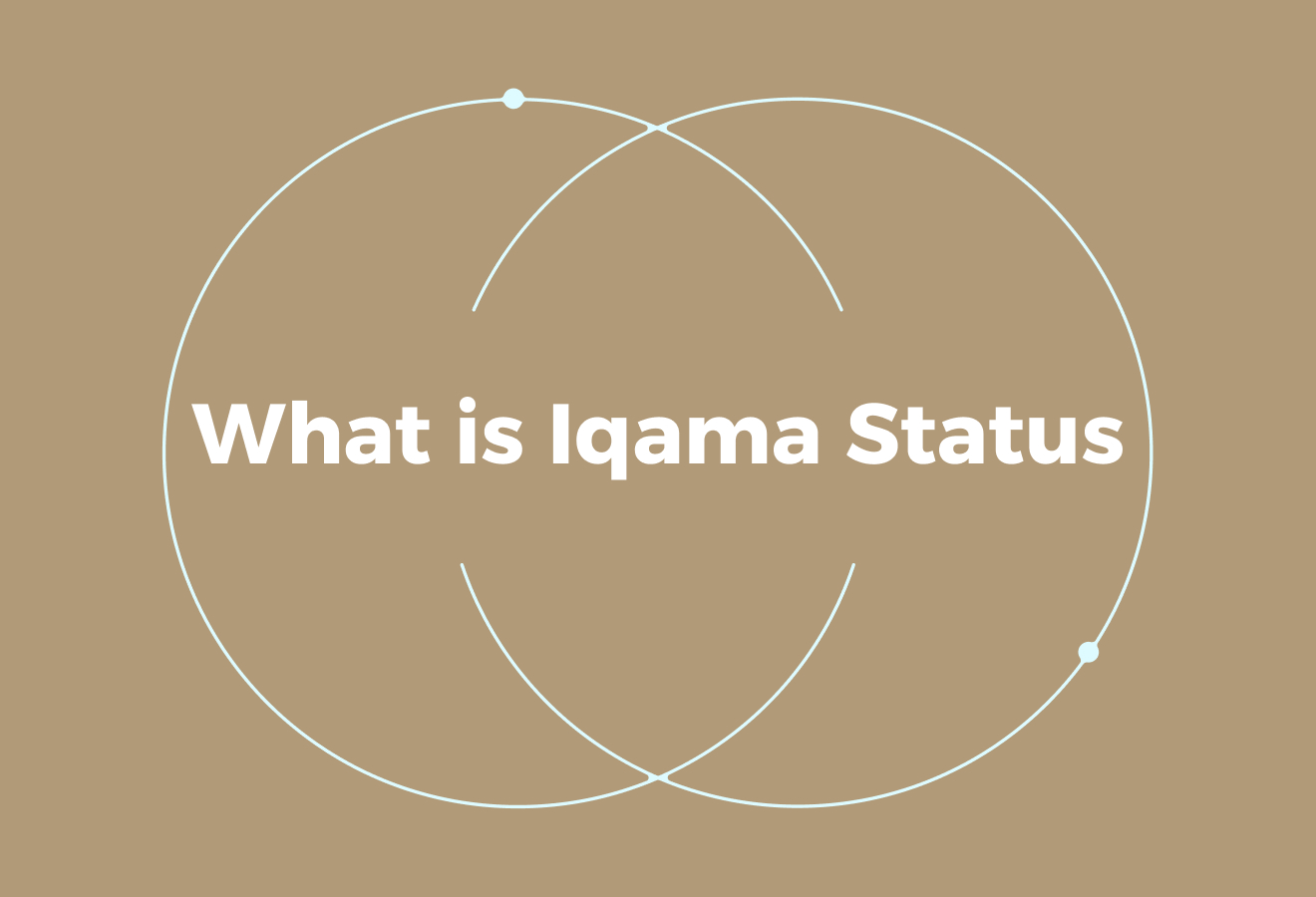 What is Iqama Status?