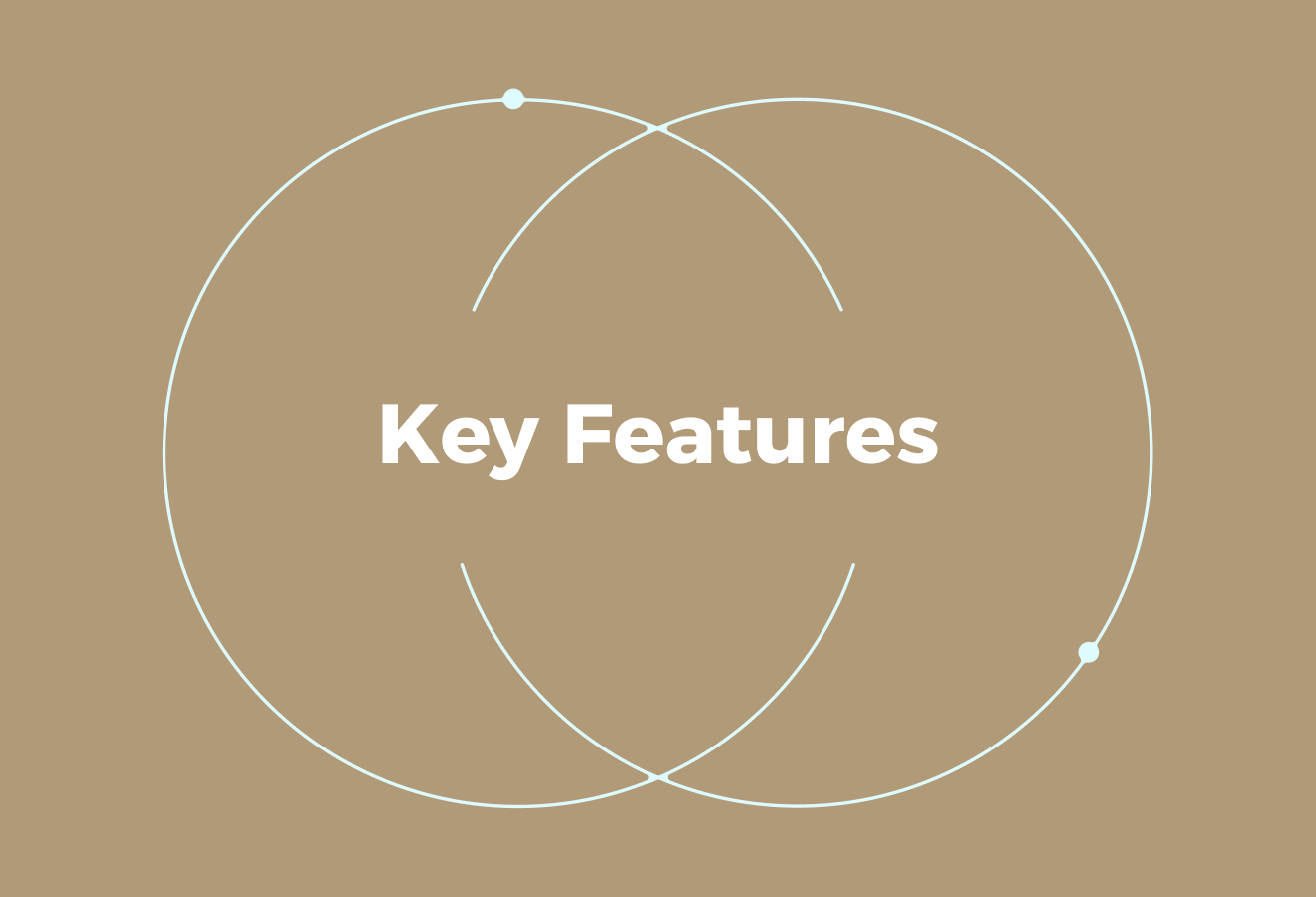 Key Features to Consider in a Rippling Alternative
