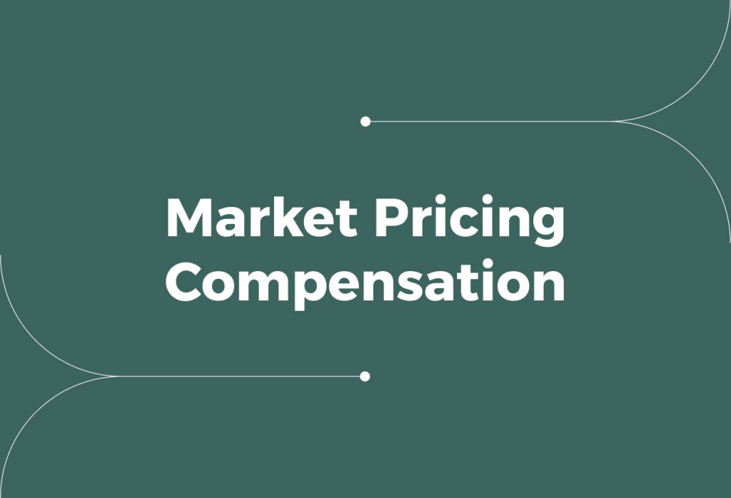 Market Pricing Compensation (Benchmark Pay for Fairness and Competitiveness)