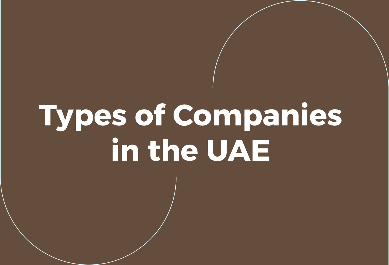 Different Types of Companies in the UAE