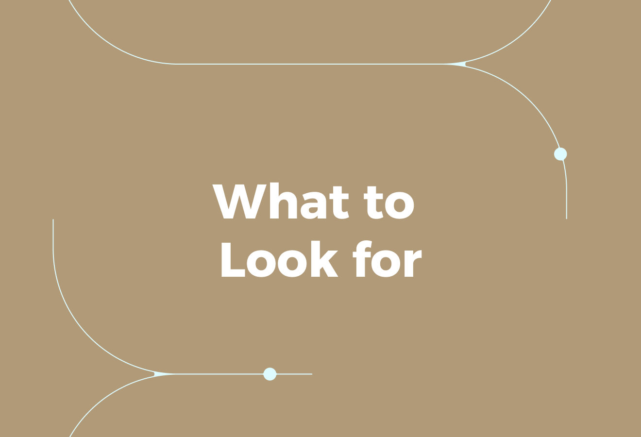 What to Look for in a Braintrust Alternative